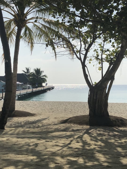 Strand Veligandu Maldives Resort Island