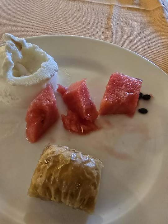 Gastro Seashell Vega