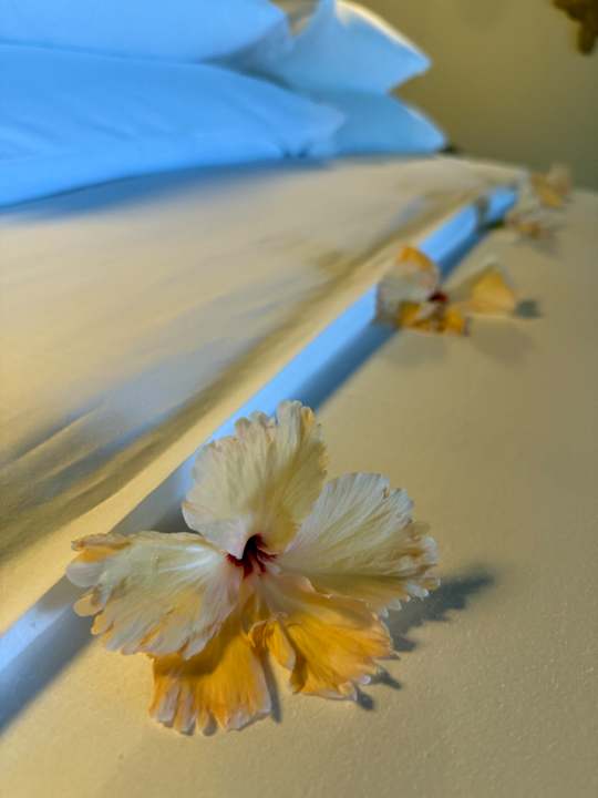 Zimmer Jawakara Islands Maldives