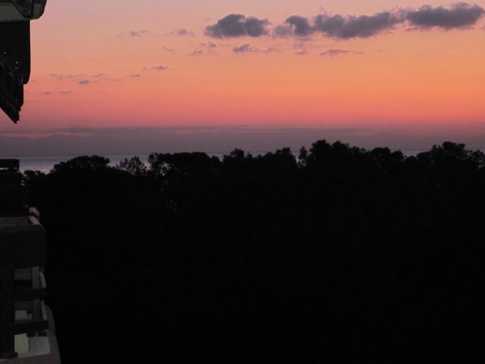 Blick vom Zimmerbalkon, ein neuer Tag beginnt Balmy Foresta
