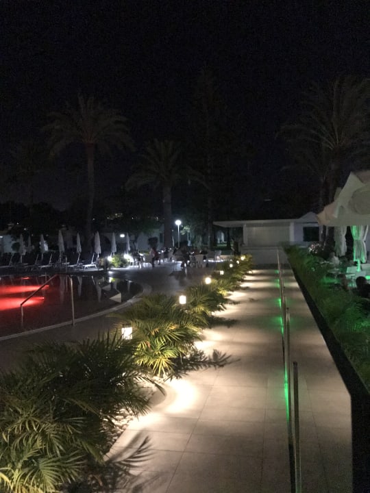 Garten Canary Garden Club