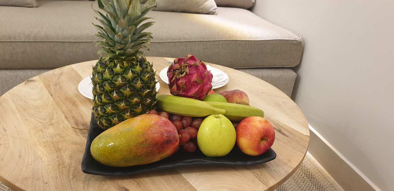 Zimmer JAZ Elite Asteria