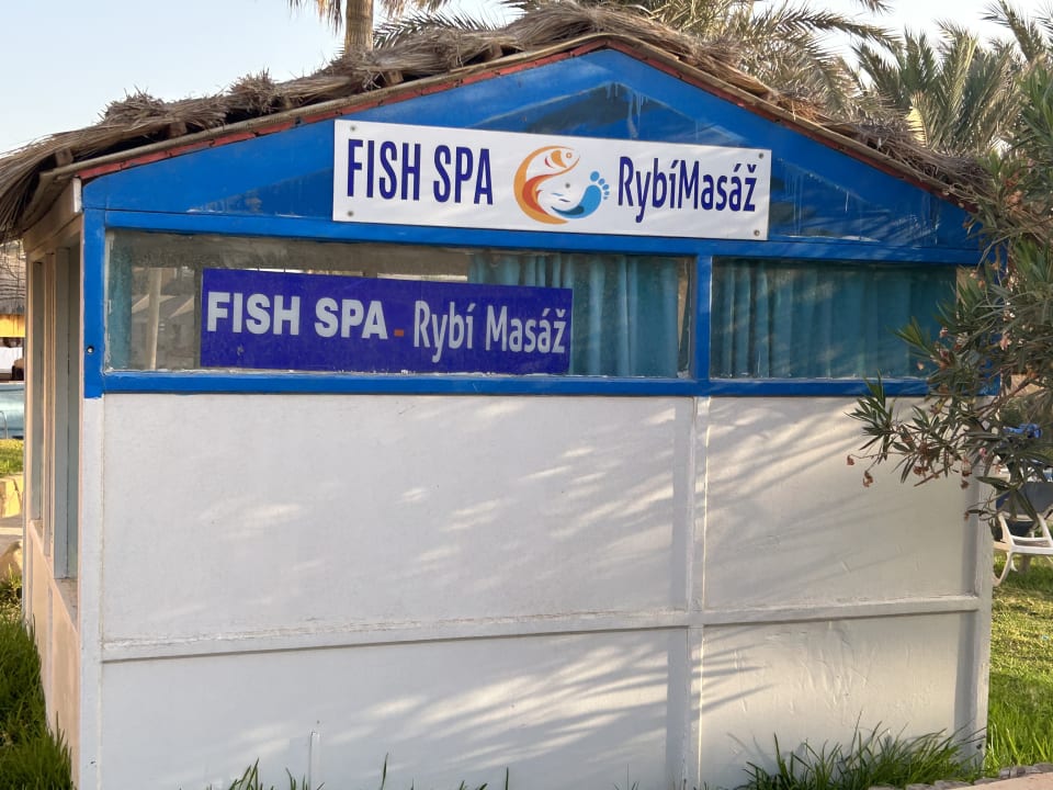 Pool Caribbean World Thalasso Djerba