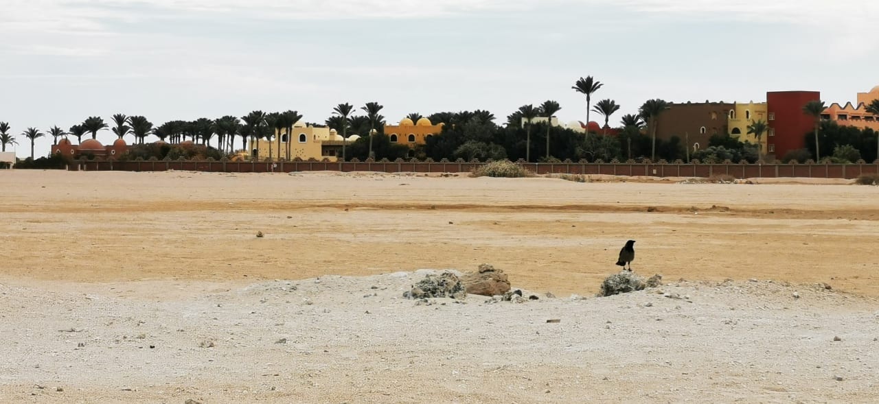 Außenansicht Grand Makadi