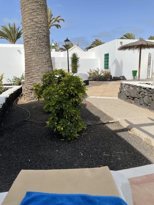 Zimmer Apartamentos LIVVO Las Gaviotas