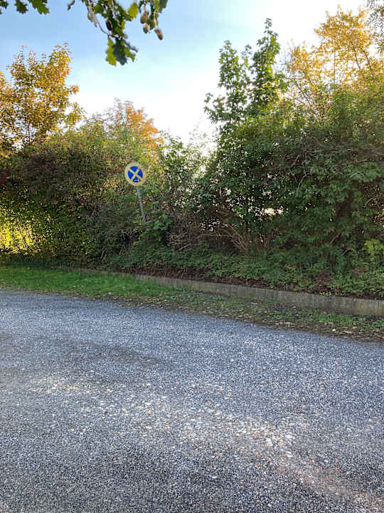 Gartenanlage Best Western Plaza Hotel Zwickau