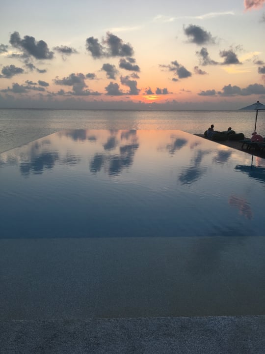 Pool Summer Island Maldives