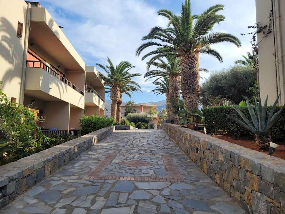 Gartenanlage allsun Hotel Malia Beach