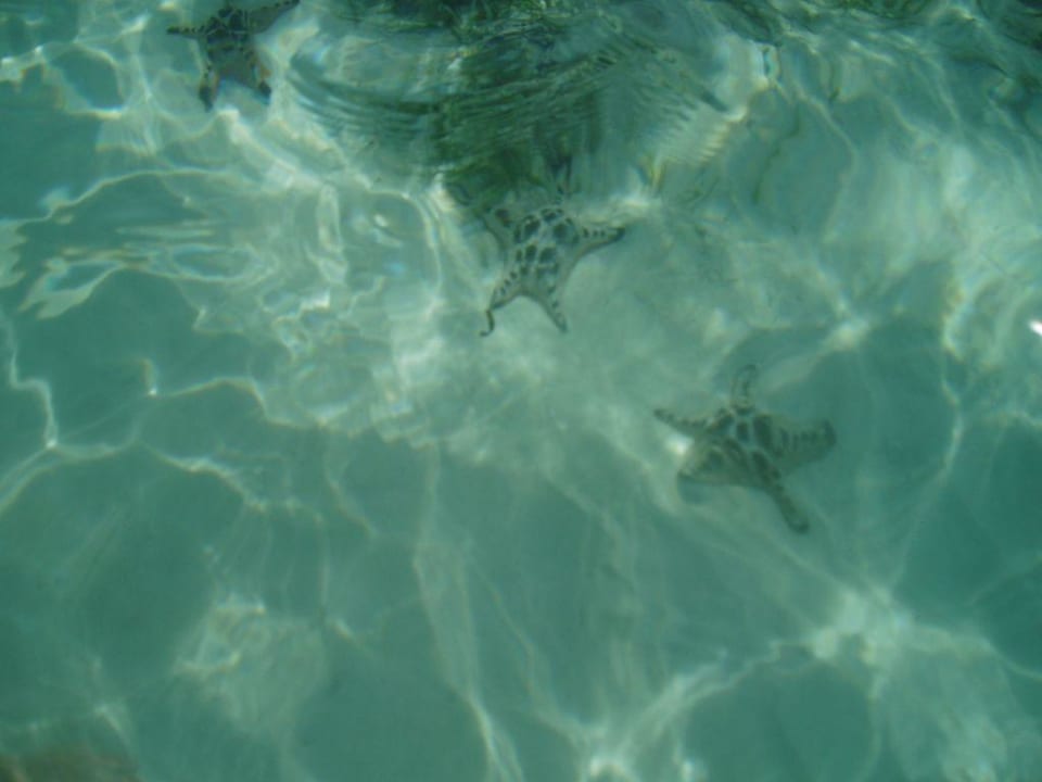 Seesterne Henann Resort