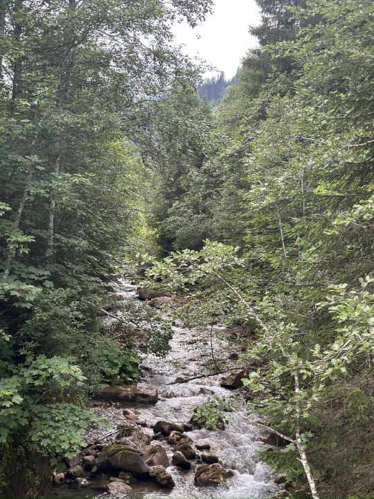 Außenansicht Alpenhotel Widderstein