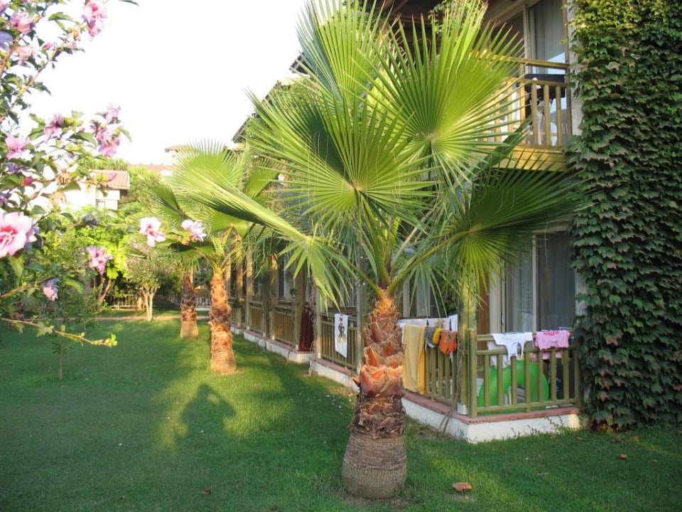 Nebengebäude Paloma Oceana