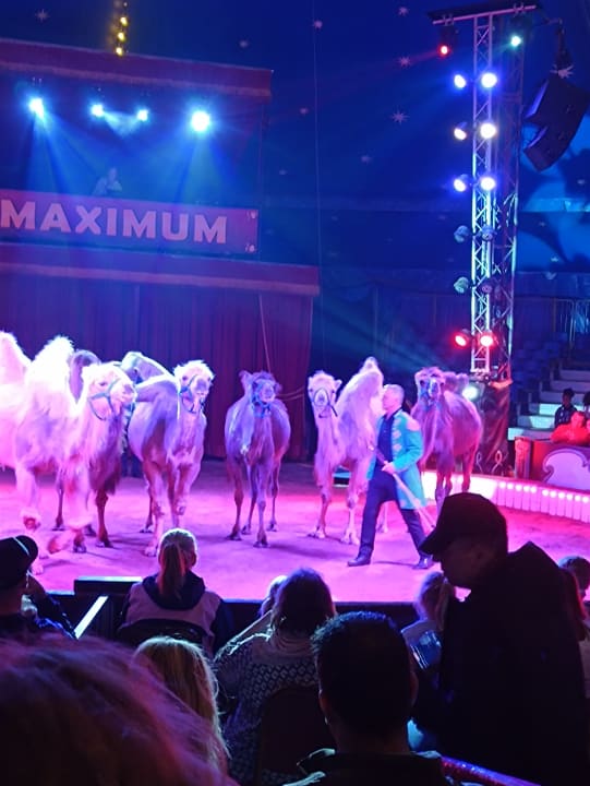 Sport & Freizeit Wunderland Kalkar