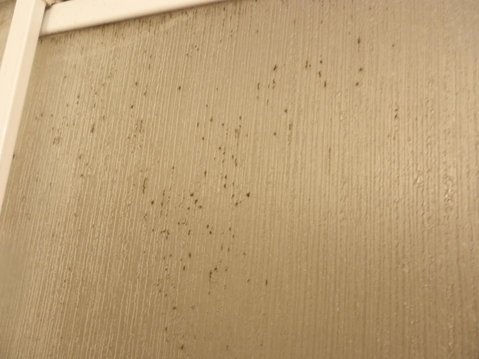 Schimmel an Duschwand Riva Bodrum Resort