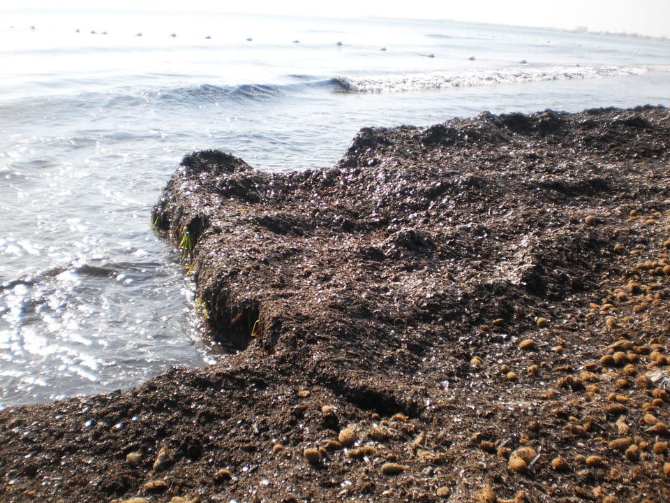 Otrasné ale realita Hotel Thalassa Mahdia