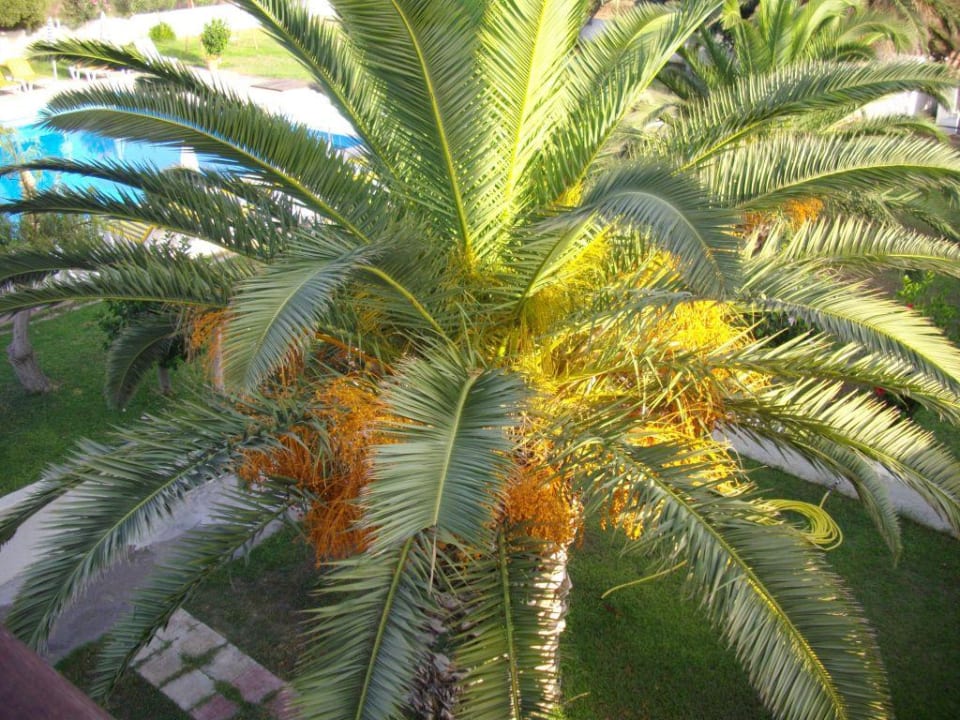 Ausblick Zimmer 217 Hotel Hermes