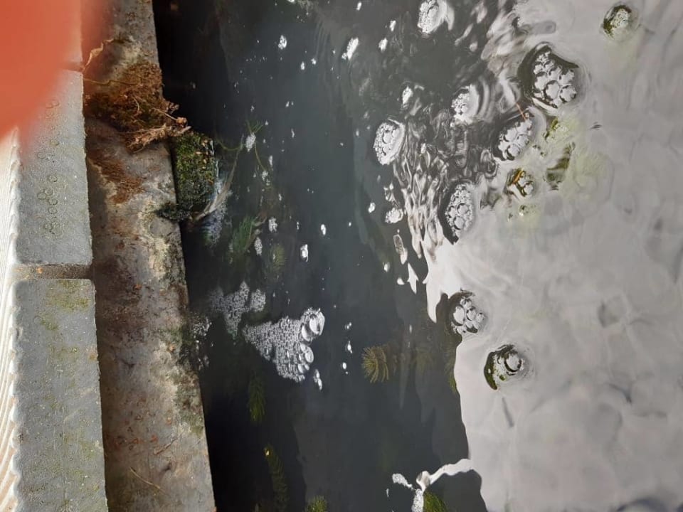 Gartenanlage Hotel Zur Wildbahn