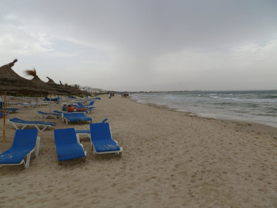 Strand Calimera One Resort Jockey