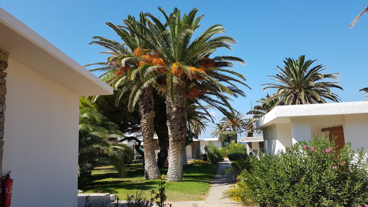 Gartenanlage Civitel Creta Beach