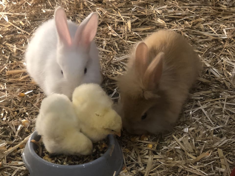 Sonstiges Jacaranda Luxury Resort