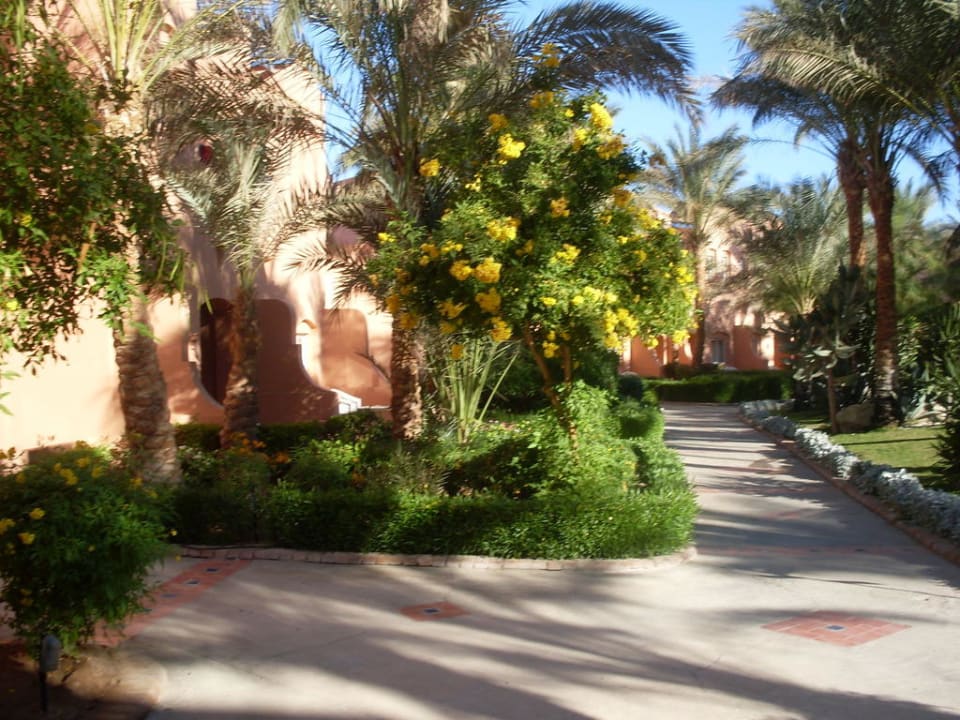 Gartenanlage Jaz Makadi Oasis Resort
