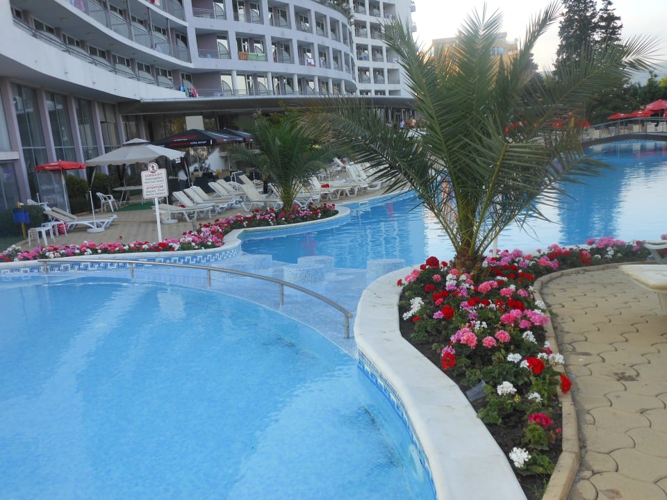 Mit schönen Blumen bepflanzt Sentido Neptun Beach