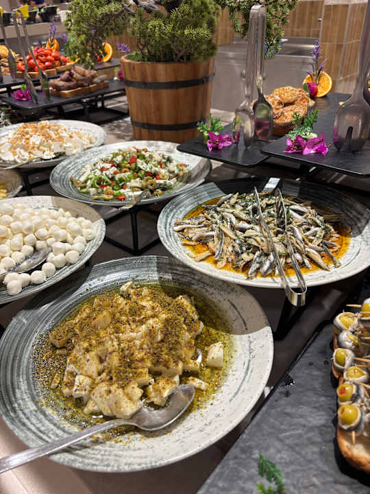 Gastro Arycanda Kirman Premium