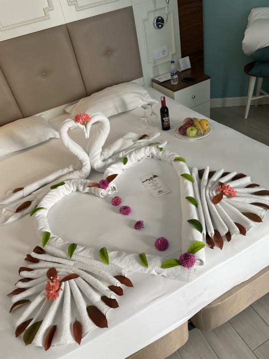 Zimmer Well Palace Side