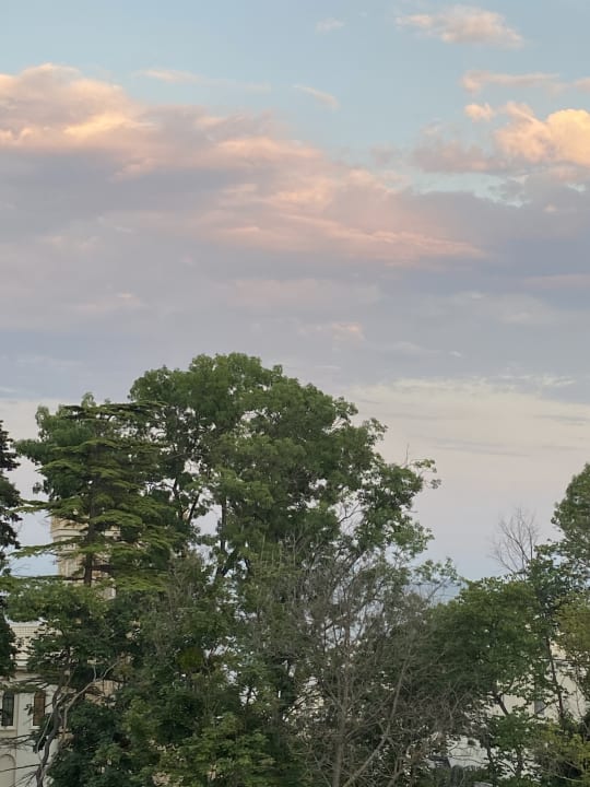 Ausblick Astor Garden Hotel