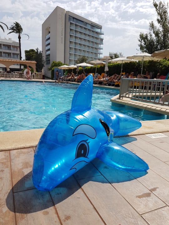 Pool R2 Lago Playa Park