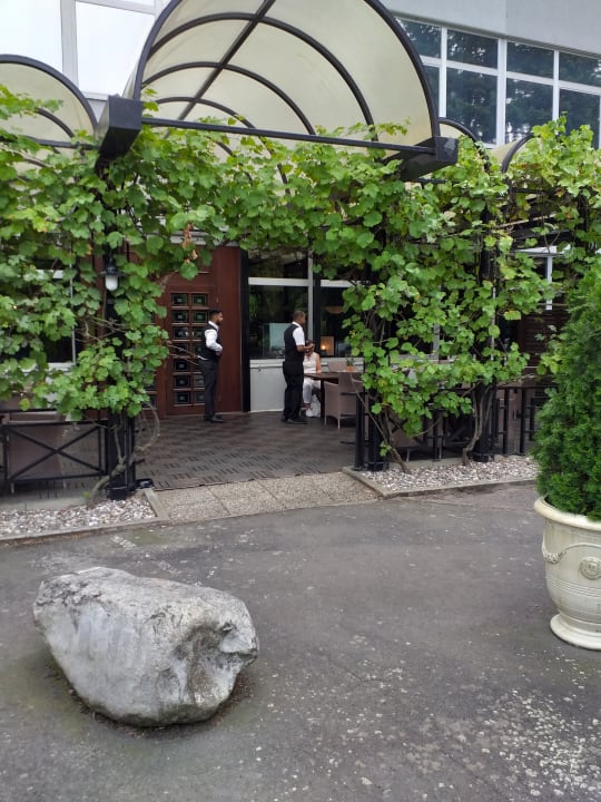 Gastro Wyndham Garden Lahnstein Koblenz Hotel