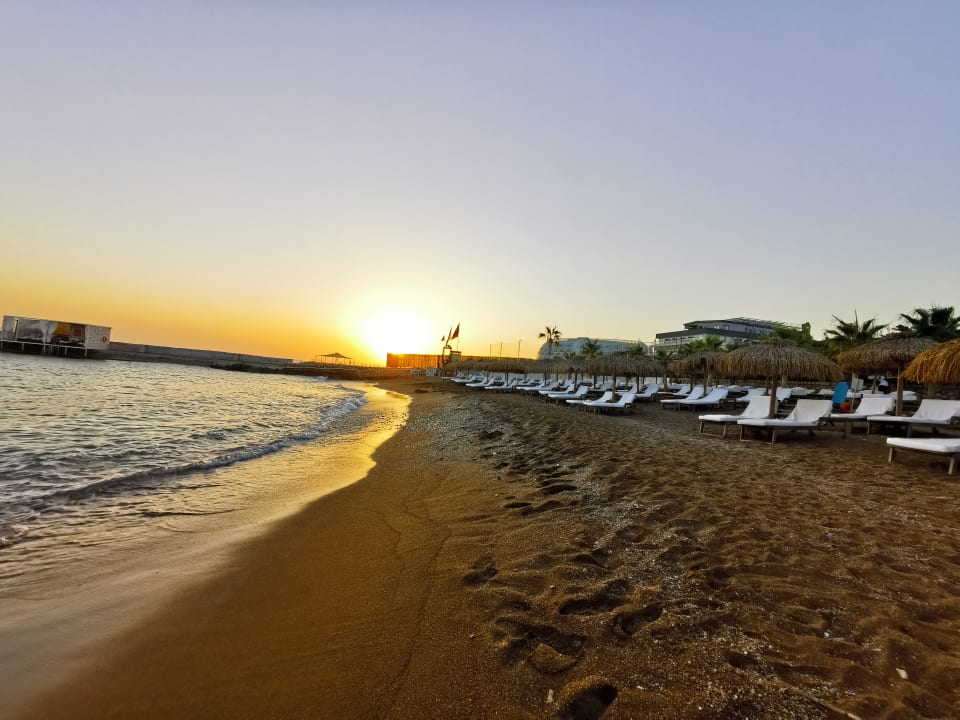 Strand Rubi Platinum Sign