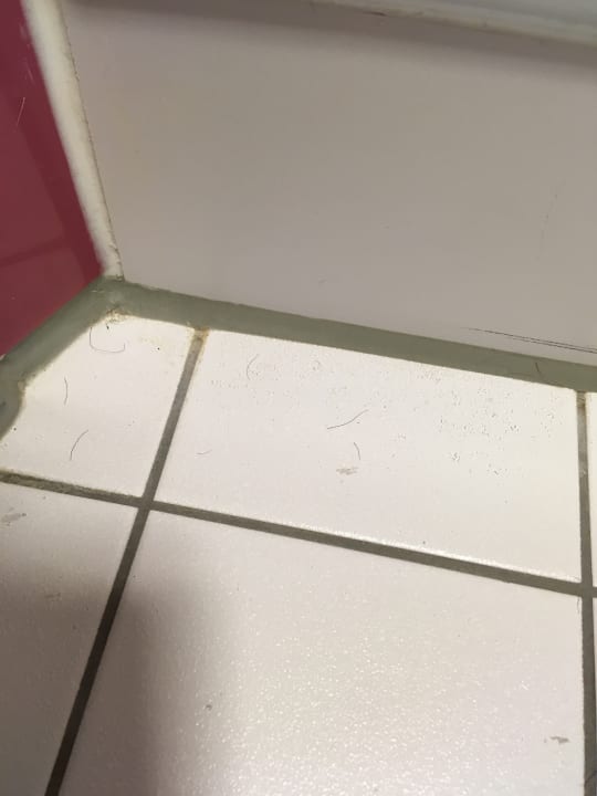 Zimmer B&B Hotel Heidelberg