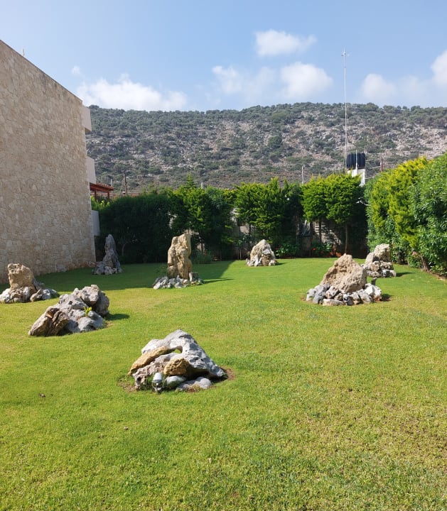 Gartenanlage Cactus Royal