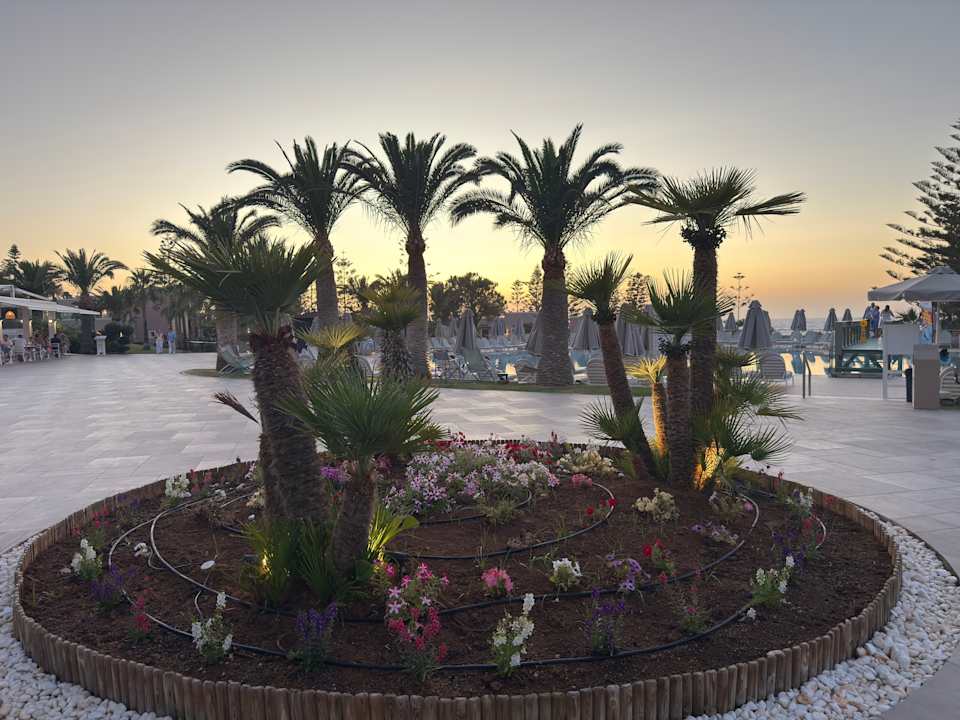 Gartenanlage Iberostar Selection Creta Marine