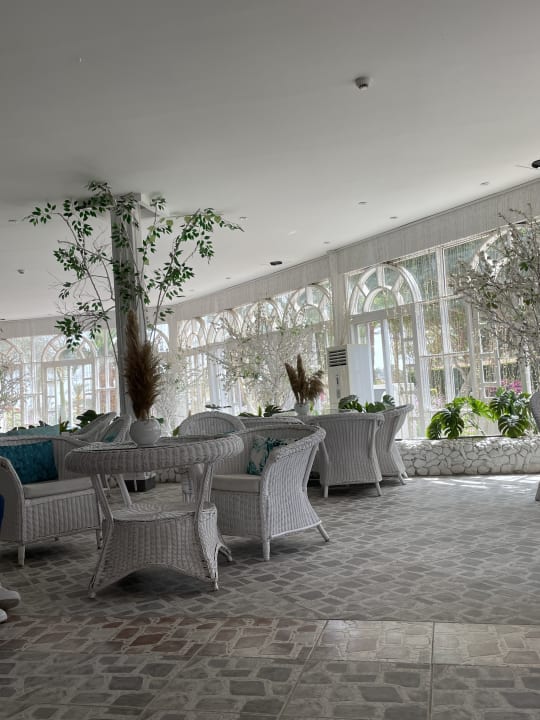 Sonstiges Desert Rose