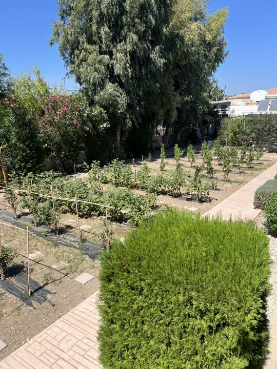 Gartenanlage Kolymbia Bay Art Adults-only Hotel