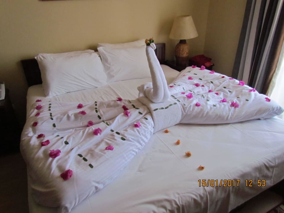 Handtuchdeco Marina Resort Port Ghalib, a member of Radisson Individuals