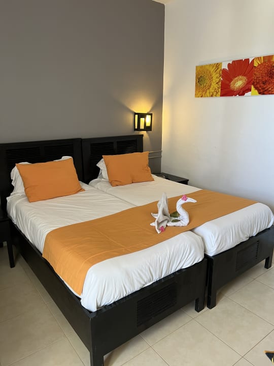 Zimmer Hotel Club Tropicana & Spa