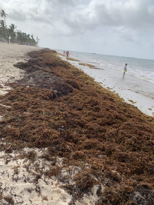 Strand Grand Palladium Select Bávaro Resort & Spa