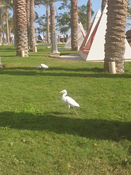 Sonstiges The Grand Palace - Adults only