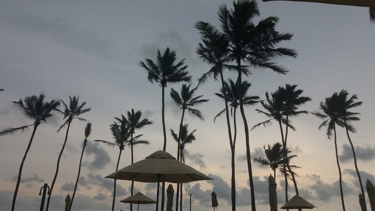 Ausblick Club Hotel Dolphin