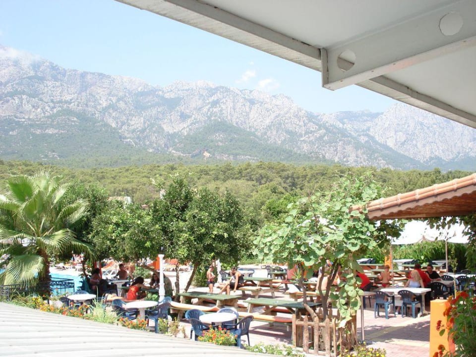 Blick auf Pool Armas Gül Beach
