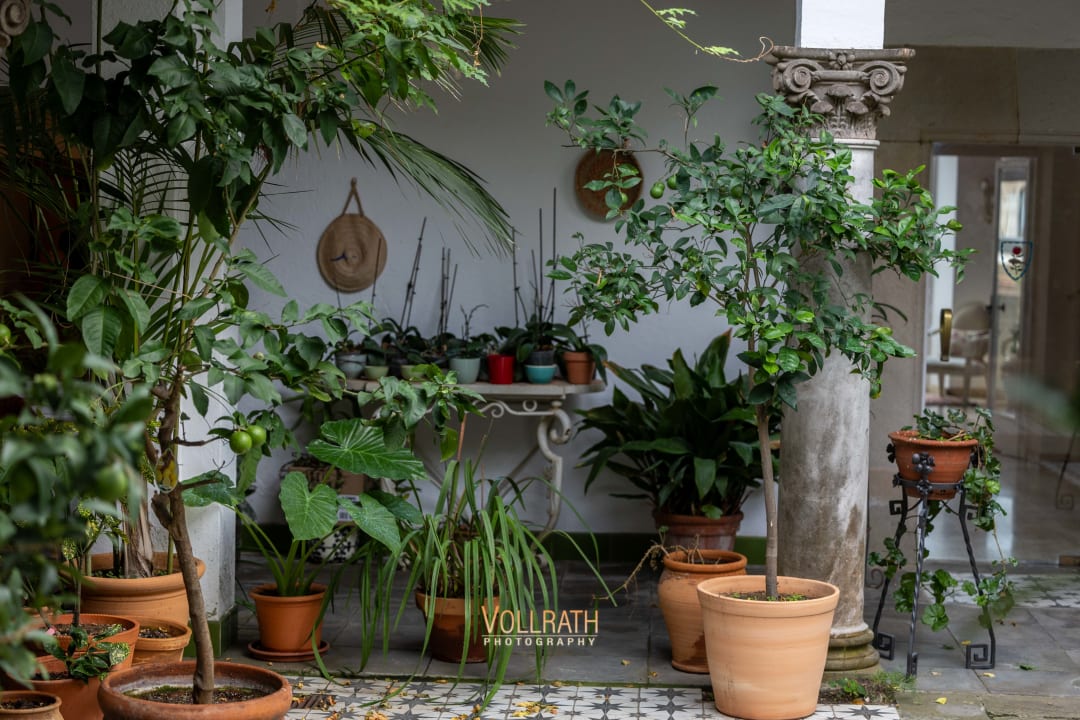Gartenanlage Hotel Roger de Flor Seleqtta