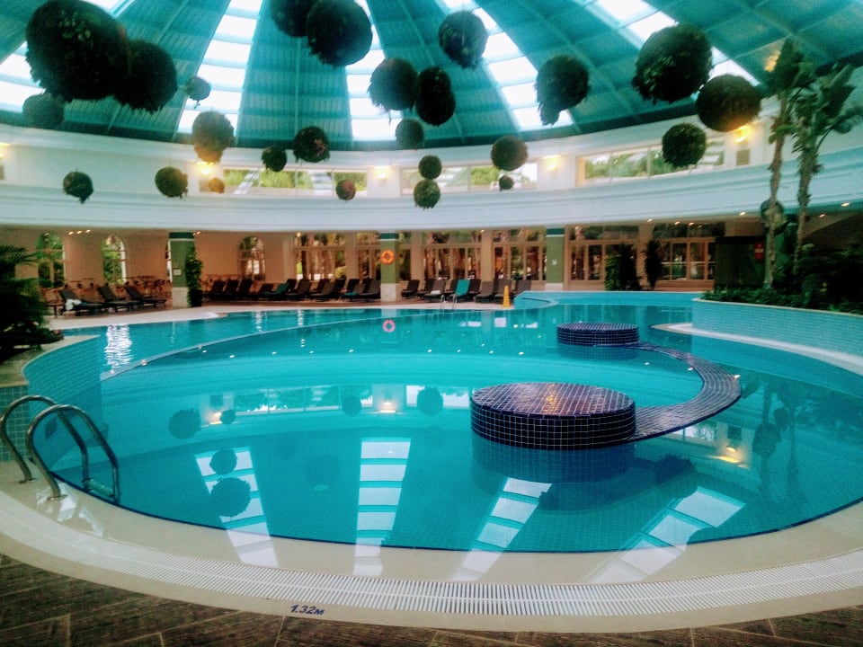 Pool ROBINSON NOBILIS