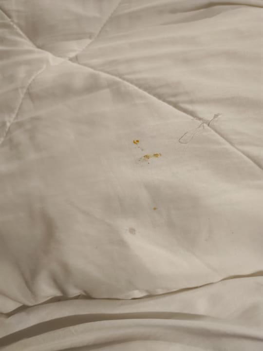 Zimmer Hotel Southern Palms Beach Resort