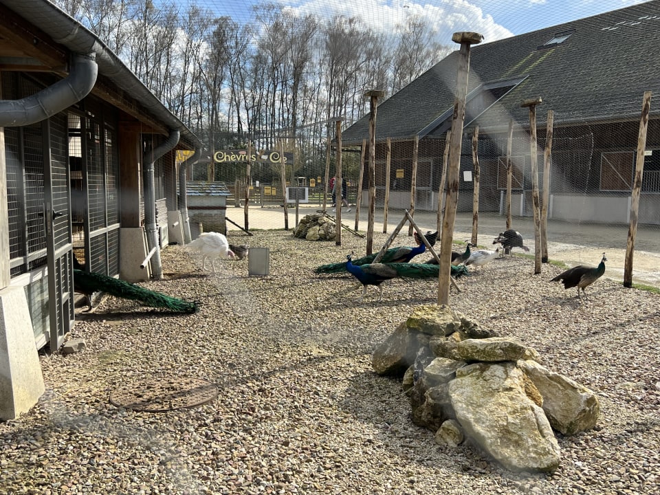 Sport & Freizeit Villages Nature Paris