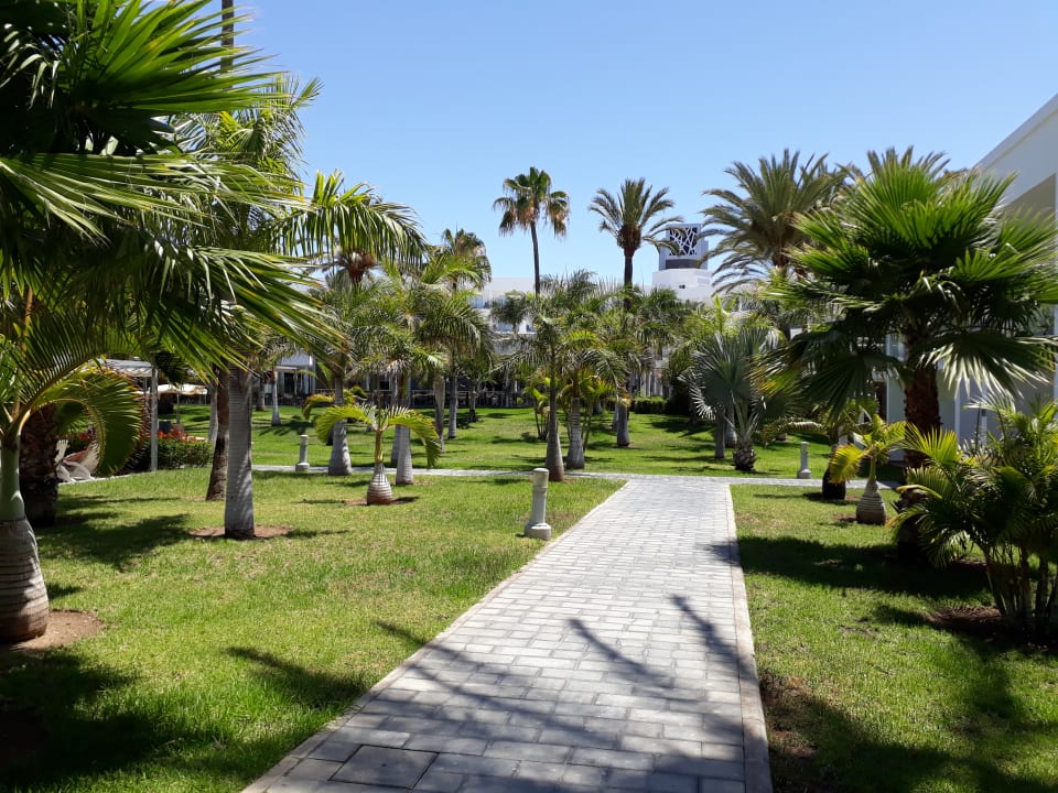 Gartenanlage Hotel Riu Palace Meloneras