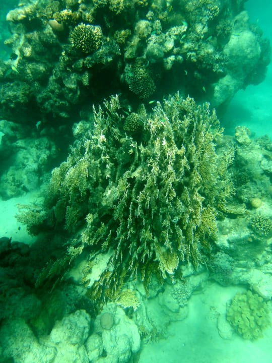 Sport & Freizeit Wadi Lahmy Azur Resort