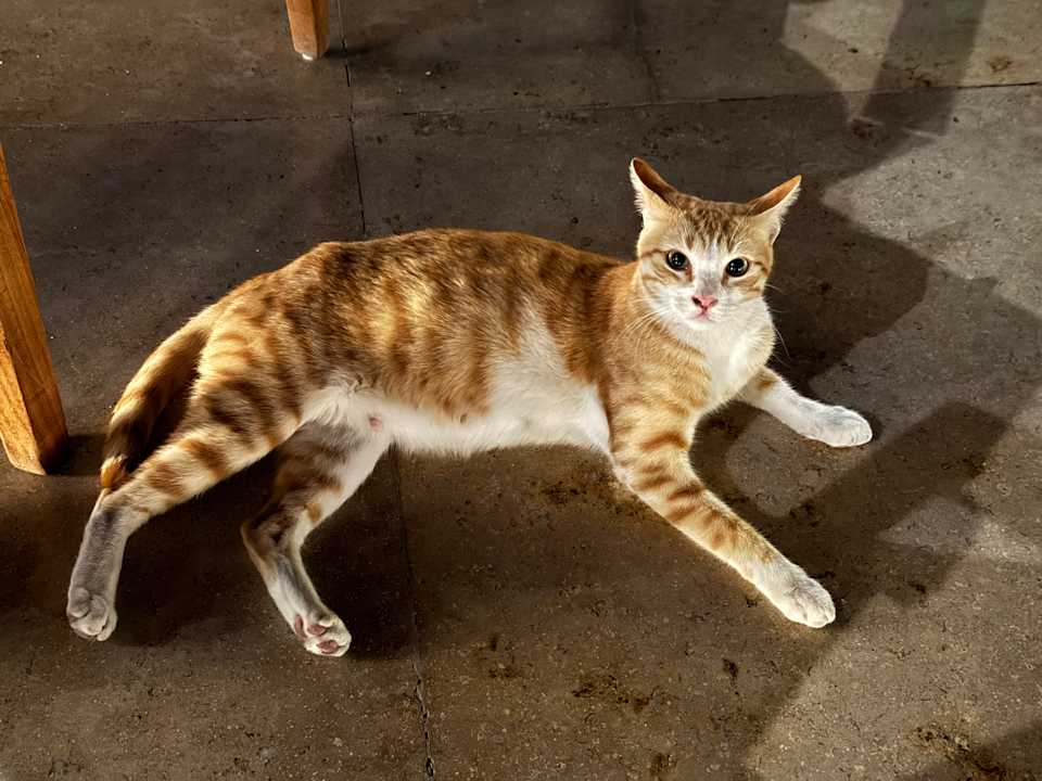 Sonstiges Iberotel Casa Del Mar Resort