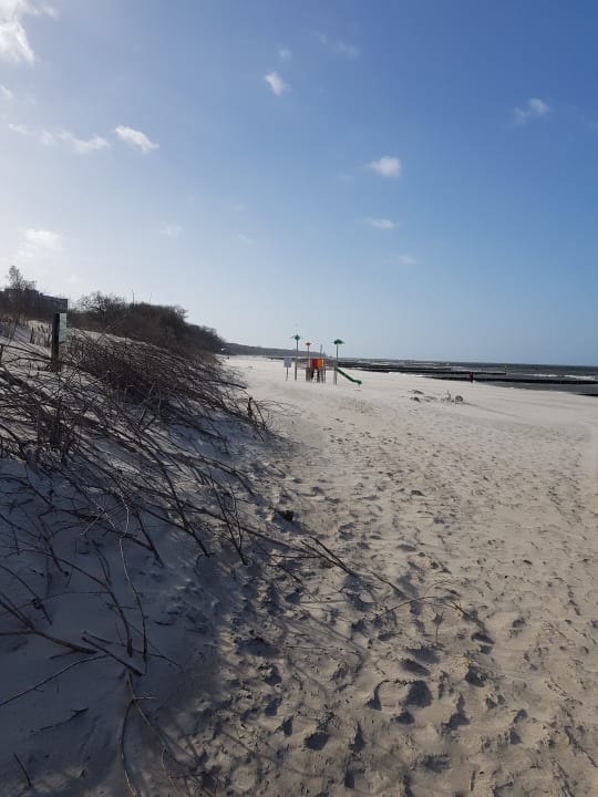 Strand Marine & Ultra Marine